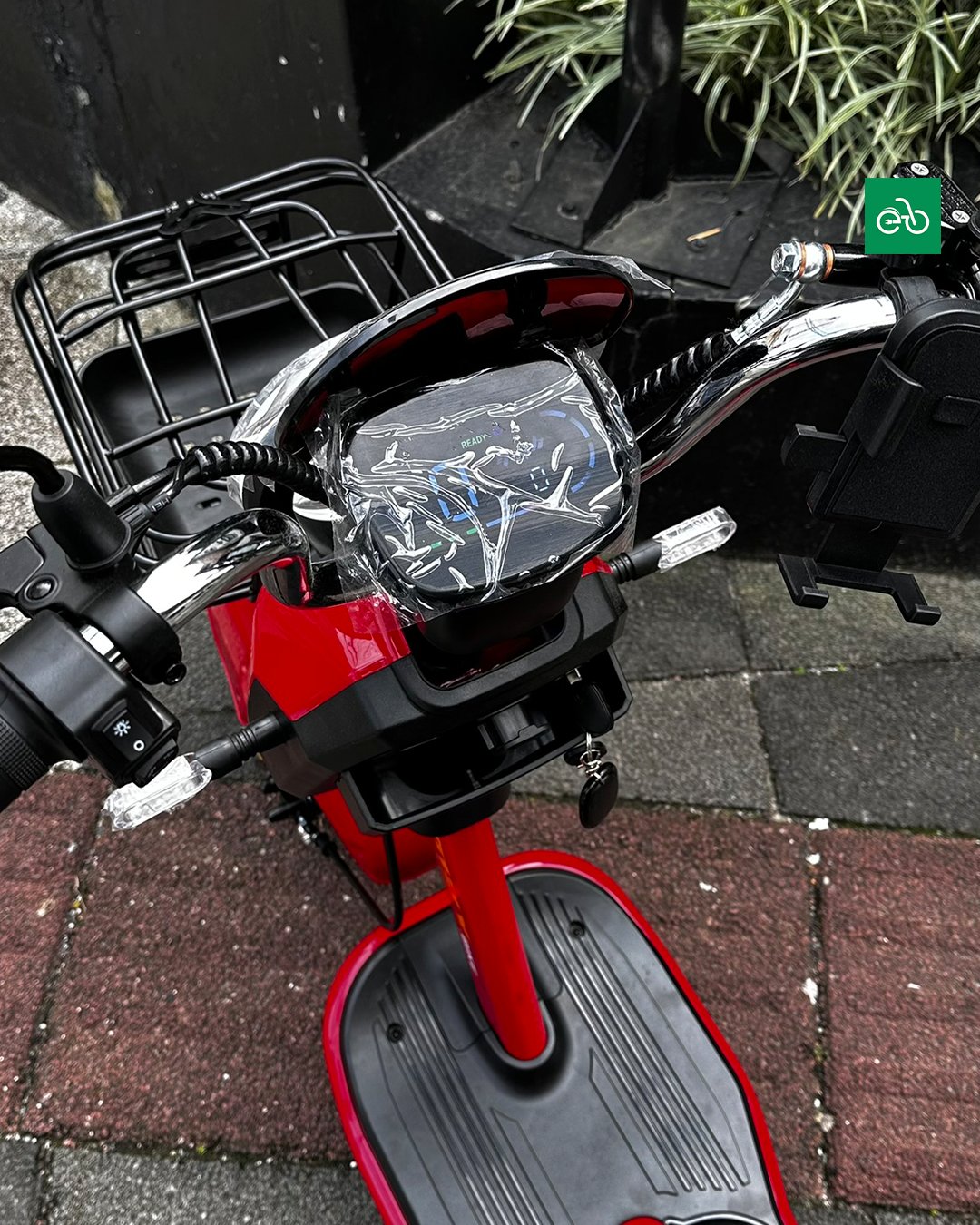 WD2, foto 6 de 6